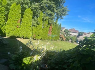 Aaron C.'s Grass Cutting service result