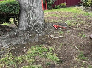 Cleanups by Melisa Simanjuntak for Ana C. in Hayward, CA