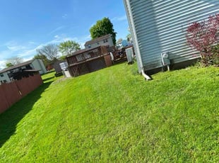 Celestine H.'s Lawn Mowing service result