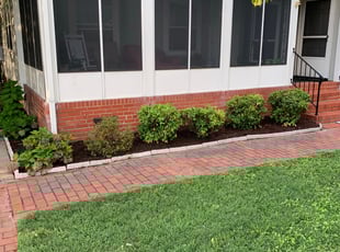 Bush Trimming by Matthew Rutledge for Katie C. in Mechanicsville, VA