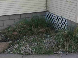 Weeding by Javis Hogan for Maria H. in Omaha, NE