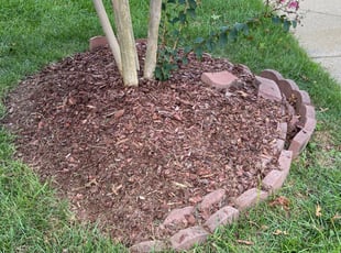 David M.'s Cleanups service result
