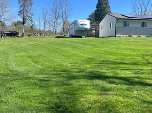 Kim, C.'s Lawn Service service result