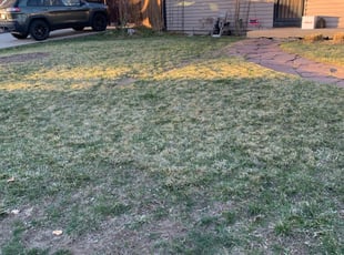 Cleanups by John Hibbs for Stepheni M. in Denver, CO