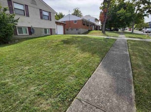 Tara A.'s Lawn Mowing Service service result