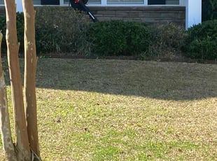Bush Trimming by Vernon Smalls for Angelica S. in Summerville, SC