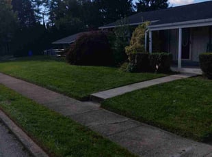efua t.'s Lawn Care service result