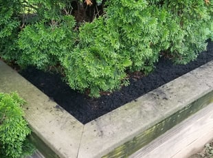Weeding by Amaris Huxell for Debra R. in Cincinnati, OH