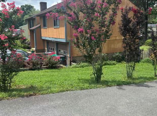 Bahar S.'s Bush Trimming service result