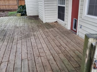 Leaf Removal by Hugo Melgar for Deborah H. in Sugar Land, TX