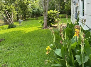 Raine M.'s Yard Cutting service result