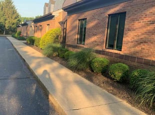 Weeding by B.J. Schuetz for Michelle C. in Westerville, OH