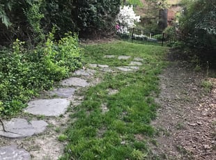 Leaf Removal by Tamula Chery for Grace C. in Falls Church, VA