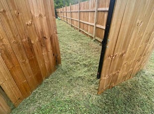 Mary M.'s Lawn Service service result