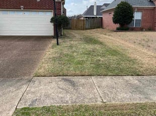Leaf Removal by TYRONE BLAYLOCK for Christina R. in Arlington, TN