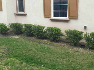 Cleanups by Edward Walsh for Frank F. in Rancho Cucamonga, CA