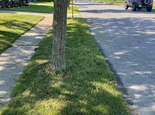 Joanna R.'s Lawn Maintenance service result