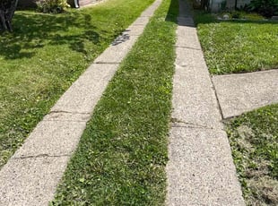 Weeding by Adrian Franco-Gonzalez for Kaeli P. in Toledo, OH