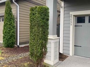 Bush Trimming by Jay Chavez for Doressa G. in Black Diamond, WA