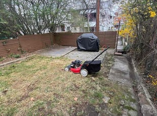 Leaf Removal by Tyrice Harris for Tom S. in Reading, PA