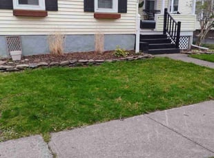 Cleanups by Ebonisha Thomas for Hayley B. in Fairport, NY