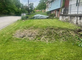 Kelley R.'s Bush Trimming service result