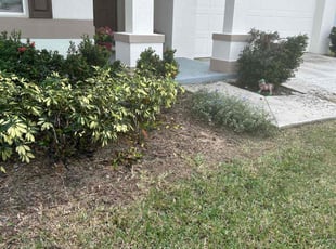 Weeding by Quinton Davis for Megan D. in Davenport, FL