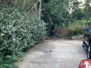 Cleanups by Matthew Stricklin for Cory P. in Vestavia Hills, AL