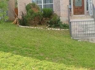 Bush Trimming by Christopher Moreno for Pamela M. in San Antonio, TX