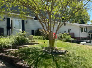 Maribel A.'s Lawn Mowing service result