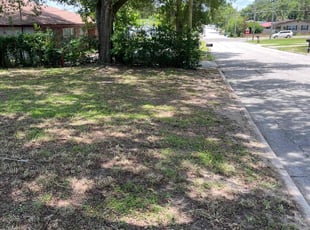Ida B.'s Leaf Removal service result
