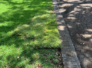 Landscaping by Adel Baker for Kristen S. in Shavano Park, TX