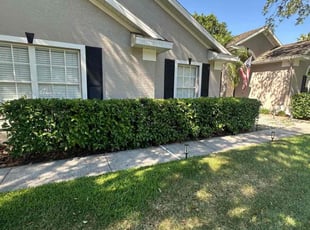 Bush Trimming by Carlos Arocho for Evenson A. in Winter Springs, FL