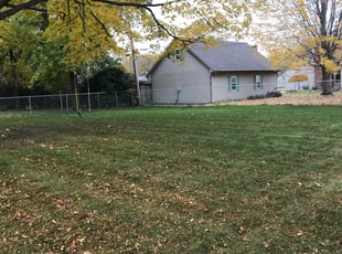 Cleanups by David Clark for Tiffany C. in Sylvania, OH