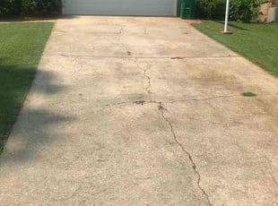 Vidya R.'s Lawn Service service result
