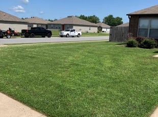 Ladonna C.'s Grass Cutting service result
