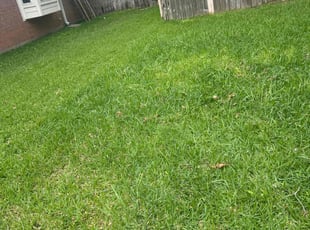 Cleanups by JosΓ© Gonzalez for Barbara P. in Richmond, TX