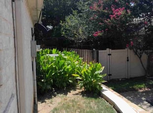 Kiacia H.'s Bush Trimming service result