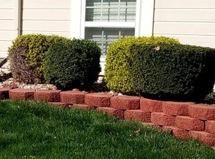 Cleanups by Jeffery Hartupee for Faith C. in Kansas City, MO
