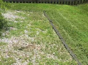 Paul M.'s Flower Bed Weeding service result