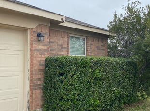 Bush Trimming by Gary Glover for Renne W. in Arlington, TX