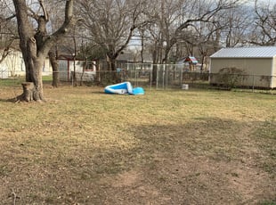 Leaf Removal by Joshua Hensley for Amy S. in Hurst, TX