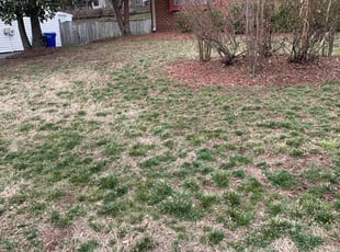 Leaf Removal by David Featherstone for angela p. in Bowie, MD