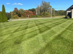 James S.'s Lawn Mowing service result