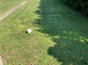 Cleanups by Devine Holmes for Jordan k. in Bethlehem, PA