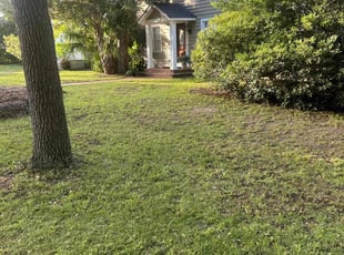 Erika S.'s Leaf Removal service result