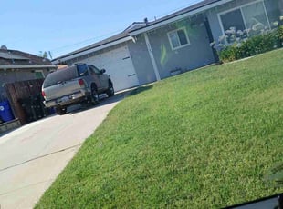 Carla B.'s Yard Cutting service result