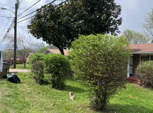 Liam W.'s Bush Trimming service result