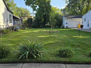 Nadege L.'s Lawn Mowing service result