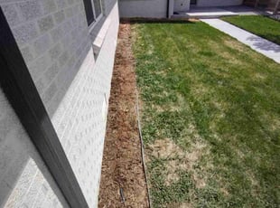 Weeding by Carlos Rocha for Renee S. in Denver, CO